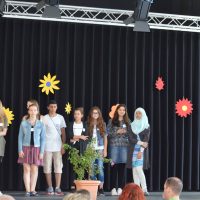 Vorstellung der Mentoren