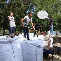 Mit vereinten Kräften an die Massen von Holzhäcksel