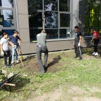 Vom Profi lernen, wie eine Wurzel aus der Erde gehoben wird