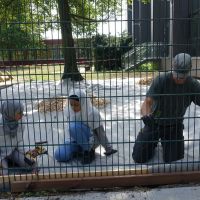 Ran ans Werkzeug – das ist Mädelssache