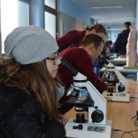 Biologie Mikroskopieren