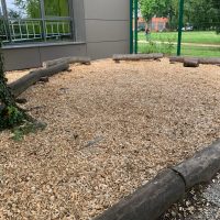 Grünes Klassenzimmer