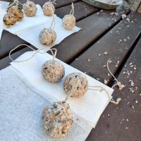 Umwelt-AG Futterknoedel Umwelt-AG Futterknoedel